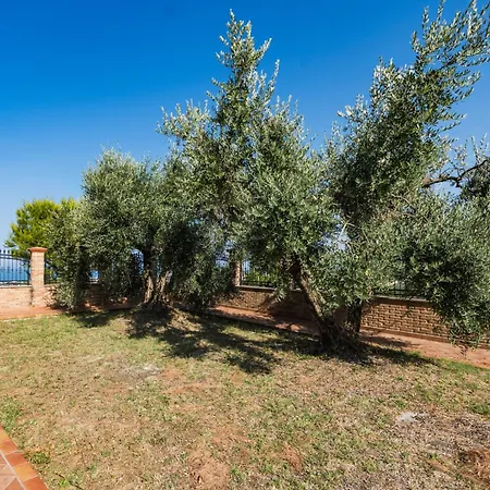 - Vista Mare - Wifi Ac Privacy E Posto Auto *